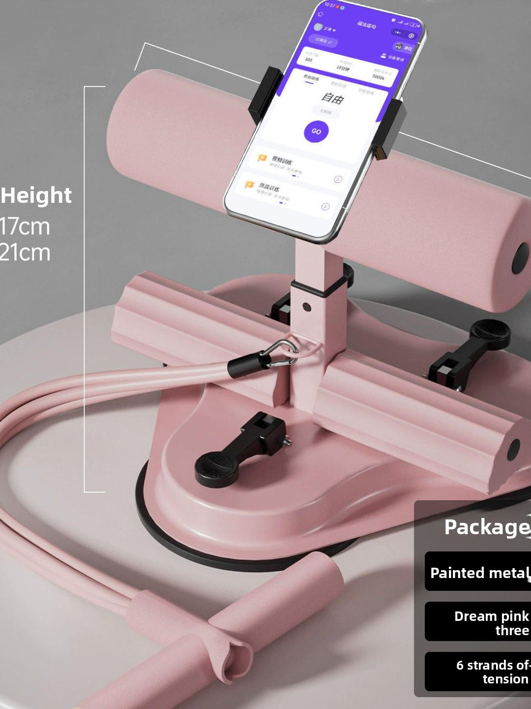 Suction Cup Sit-Up Bar with Counter